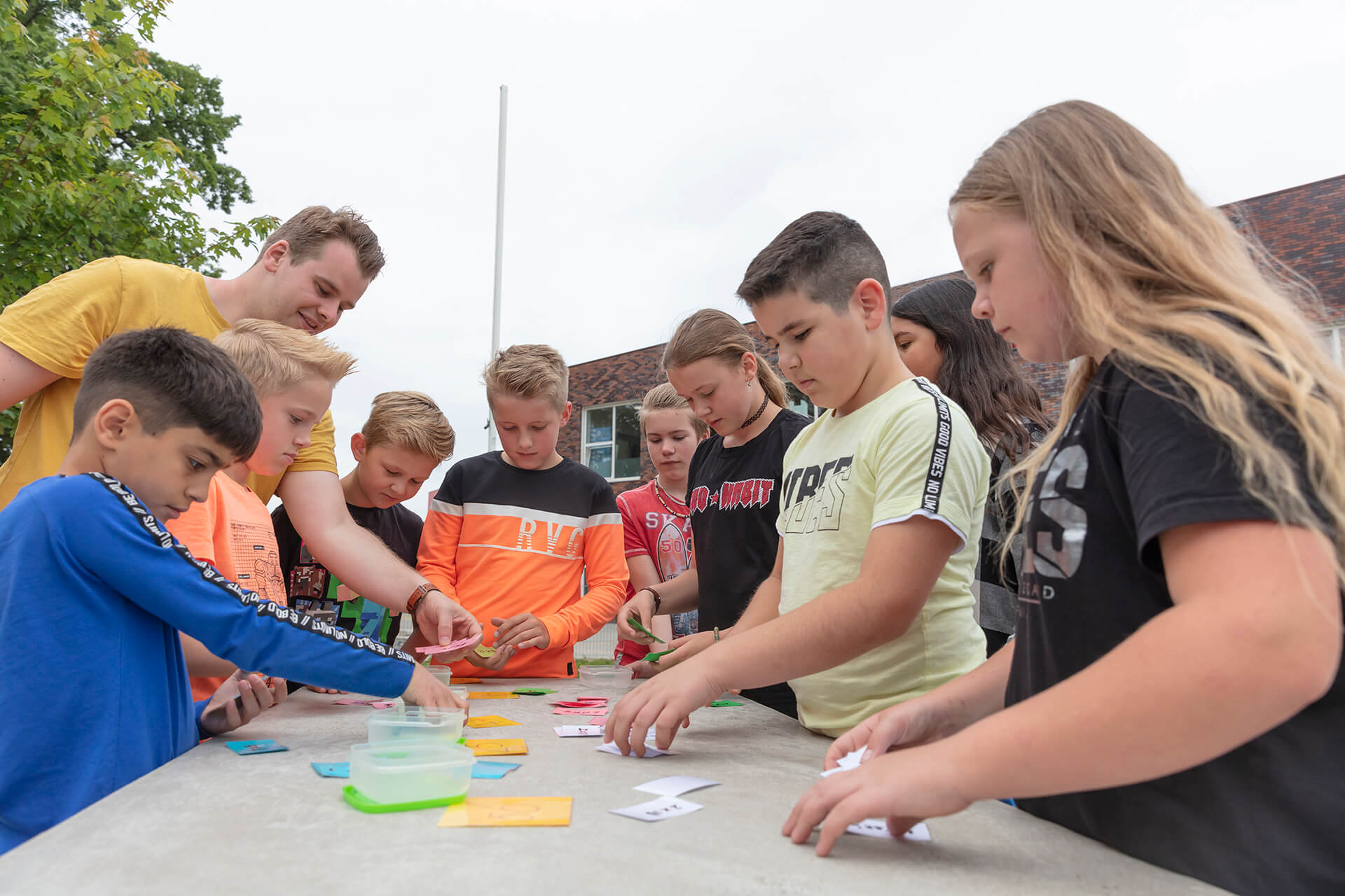 De Vlier Winterswijk 031 (1) De Vlier Winterswijk 031 (1)